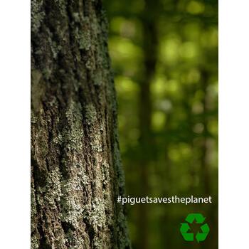 Piguet Save the Planet Dolma Kalem PGTSTPLNT-7